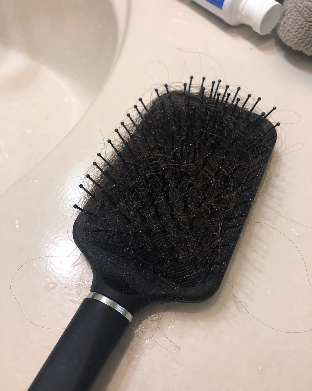 Shed hair caught in a bathroom hairbrush