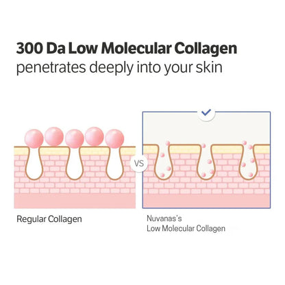 Deep Collagen Cream In Serum - Ultra-Low Molecular French Collagen for Firming & Elasticity